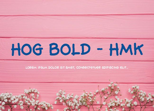 Hog Bold - HMK example